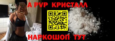 стафф Донской
