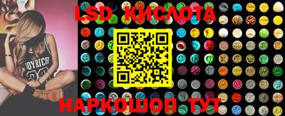 стафф Донской