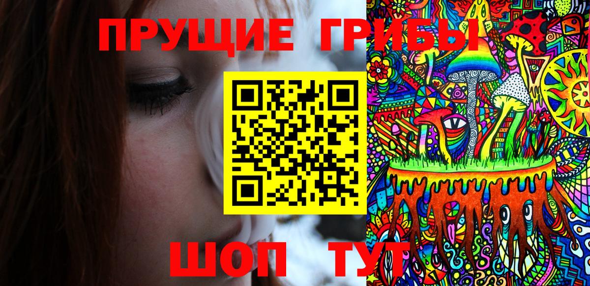 Псилоцибиновые грибы прущие грибы  Вход с VPN  Псилоцибиновые грибы GOLDEN TEACHER  Дальнегорск 